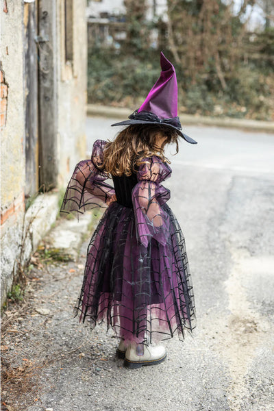 Great Pretenders Spider Witch Dress with Hat