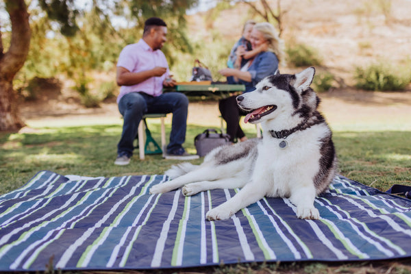 Picnic Time Vista Outdoor Blanket