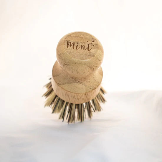 Mint Bamboo Dish Brush