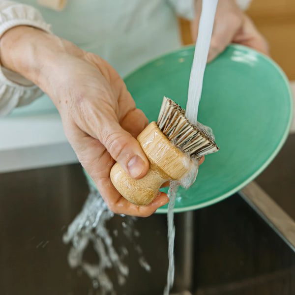 Mint Bamboo Dish Brush