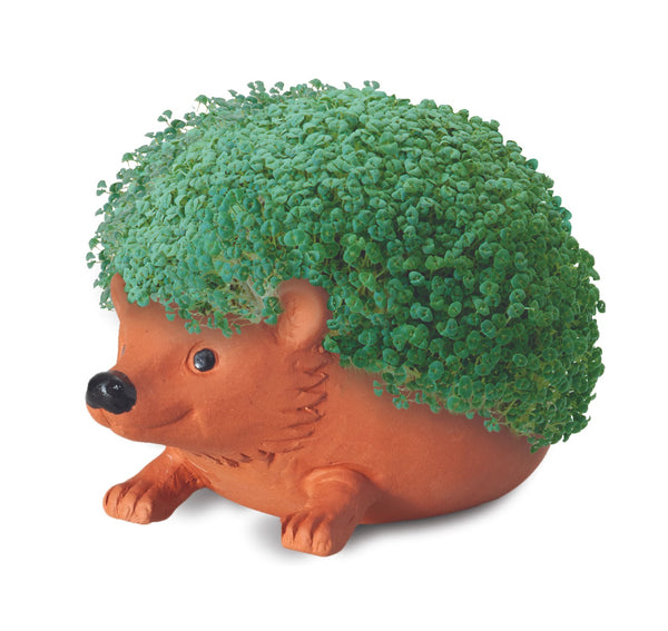 Chia Pet